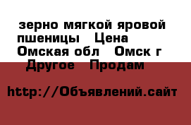 зерно мягкой яровой пшеницы › Цена ­ 250 - Омская обл., Омск г. Другое » Продам   